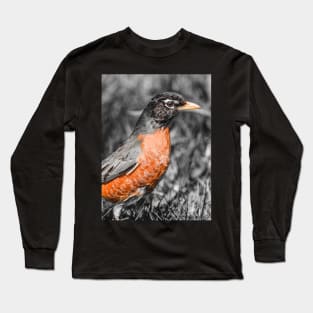 American Robin Isolated Color Photograph Long Sleeve T-Shirt